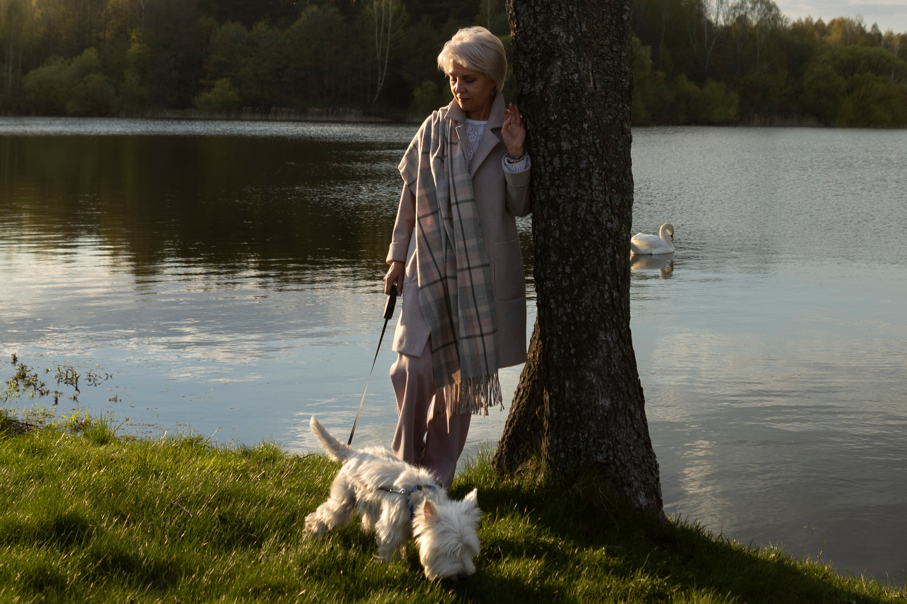 Cresce a procura por cremação no Brasil: entenda por que essa escolha tem ganhado espaço